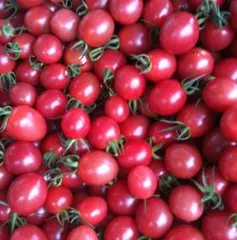 

MEGA CL1305 pink oval high heart stop small tomato bonsai intended for base 100pcss