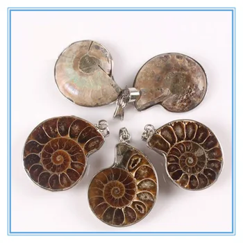 

6pcs/lot Natural Stone Ammonite Fossils Seashell Snail Pendants Ocean Reliquiae Conch Animal Necklaces for Jewellery Making Free