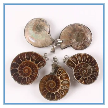 

Wholesale 8 pcs/lot Natural Stone Ammonite Fossils Seashell Snail Pendants Ocean Reliquiae Conch Animal Necklaces for Jewellery