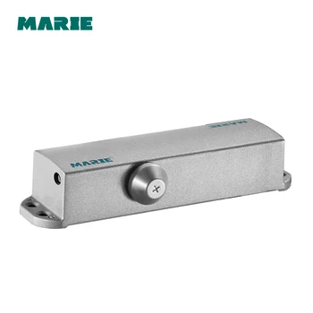 

65 Kgs Bearing Capacity Hydraulic Buffered Door Closer Available For Wooden/Metal Doors Silver Color 4403BC