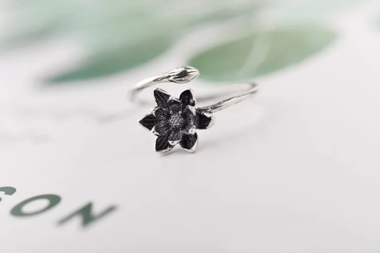 7862423327_823318017