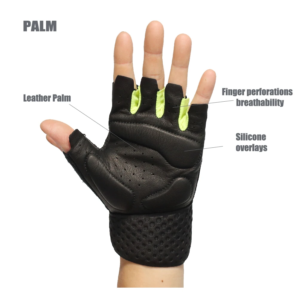 palm