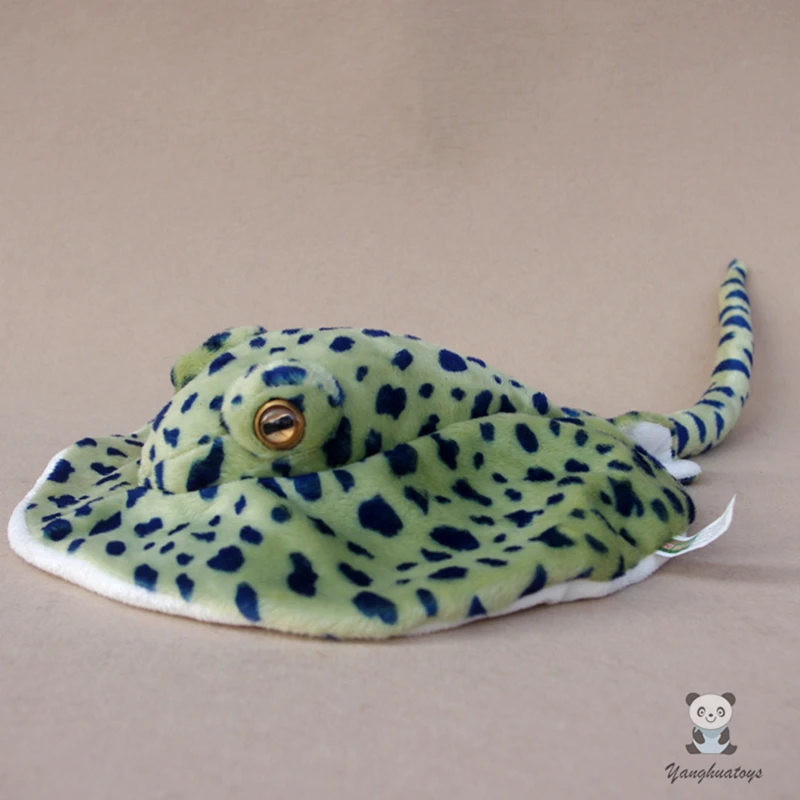 108 Gambar Ikan Setan HD Terbaru