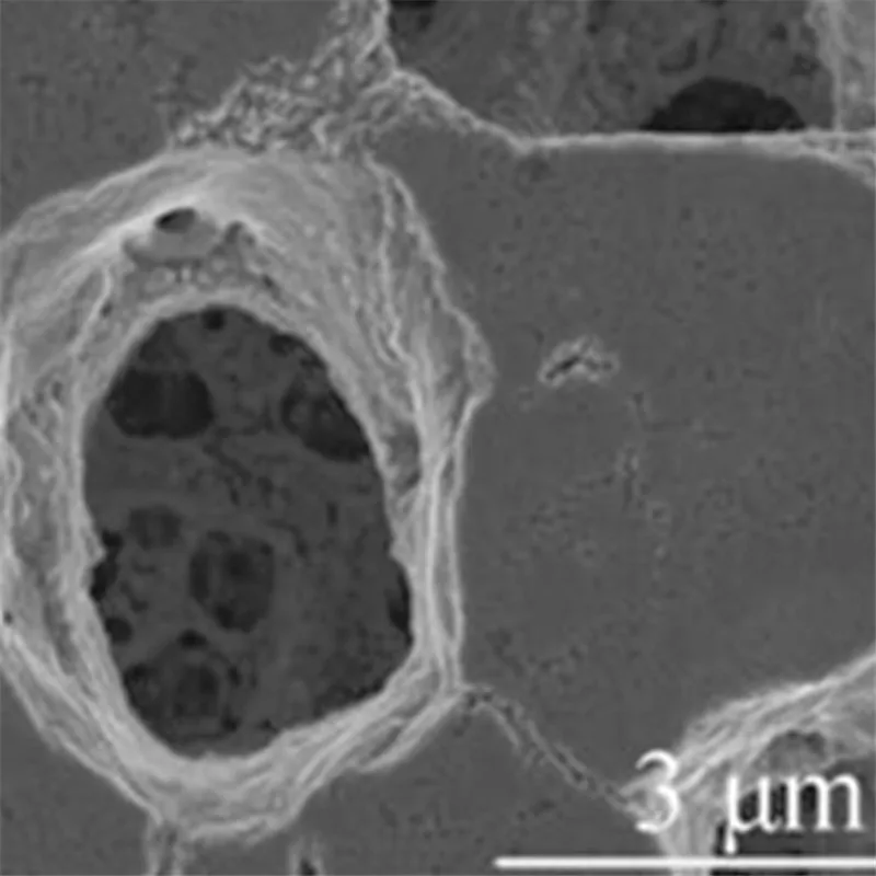

Three-dimensional porous copper