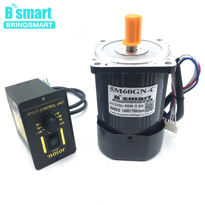Электродвигатель переменного тока Bringsmart 5M60GN CC 220 в 60 Вт малогабаритный