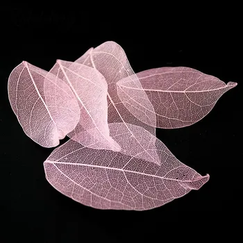 

Rolabling Dried Leaves Manicure Stickers Preserved Flower Nail Art Decorations Manicure Accessory UV Gel Polish Rhinestone Decor