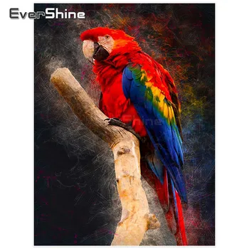 

Evershine Diamond Painting Parrot Full Drill 5d Diamond Embroidery Animals Pictures Of Rhinestones Diamond Mosaic Wall Decor