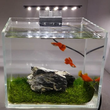 

5W Ultra-thin Aquarium LED Light Ultra Bright Clip-on Aquarium Lighting Lamp 12pcs 5730 LEDs for Aquarium Fish Tank EU Plug