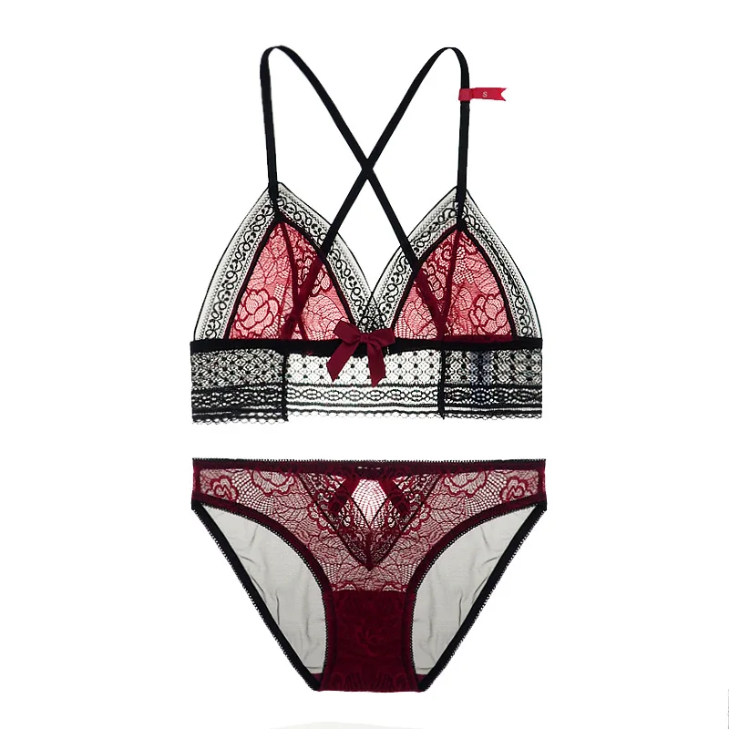 Anlisa Women Bra & Brief Sets Embroidery Floral Sexy Lace Bra and