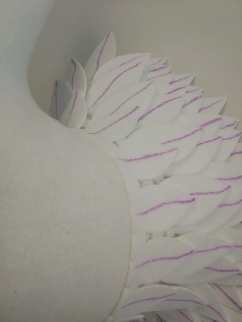 swan 5