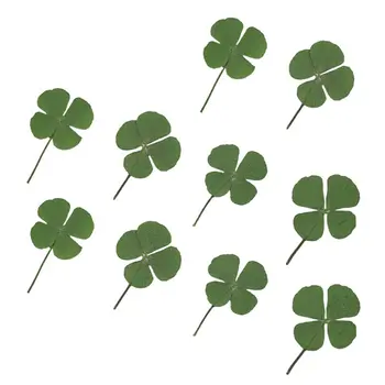 10Pcs Four-leaf Filling flower Dried Leaf Clover UV Resin Decor Nail Art Epoxy Mold DIY Filling Jewelry Four-leaf clover flower oorbellen zinc alloy rushed earing 2018 xionggui new arrival korean color rhinestones flower earrings piercing four leaf clover