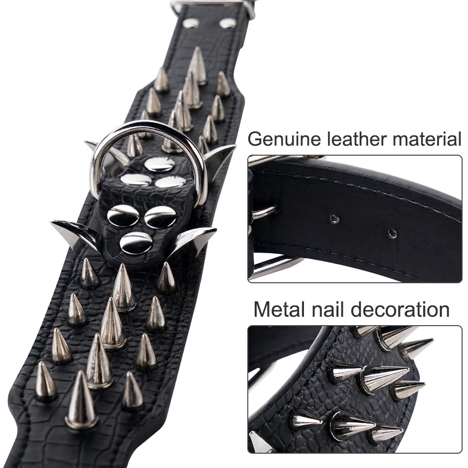 dog collar for medium dog