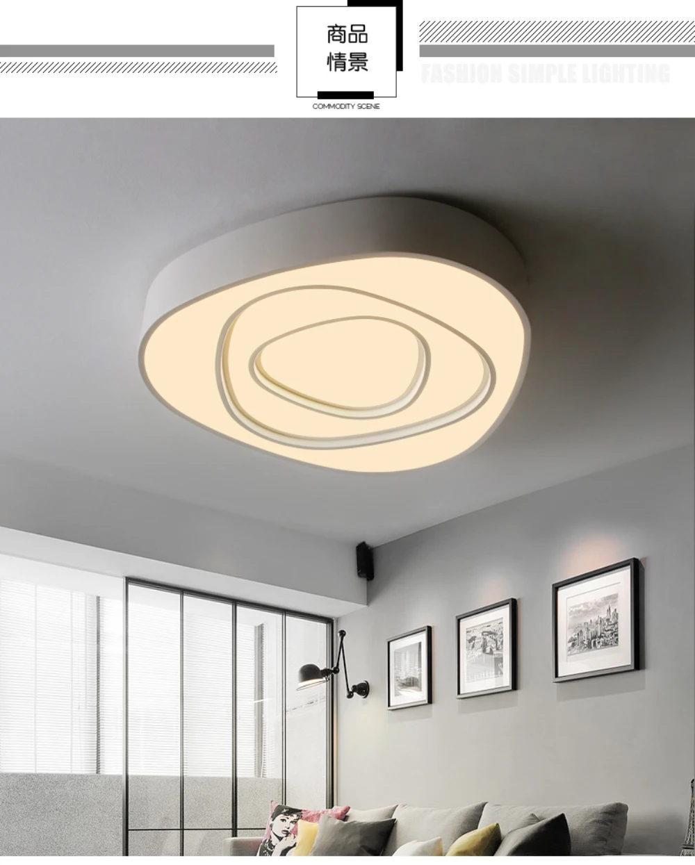 Ceiling Light-4
