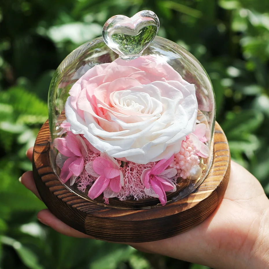 Светодиодная лампа в стеклянном куполе, эксклюзивная Роза, бессмертный цветок, день рождения, Красавица и чудовище, вечная мать, день рождения, фиолетовая Роза