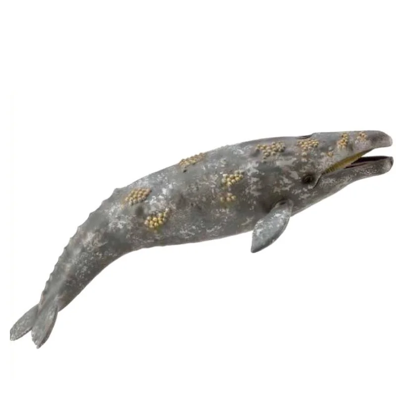 Collecta Sea life Grey Whale Classic Toys For Children Boys Animal
