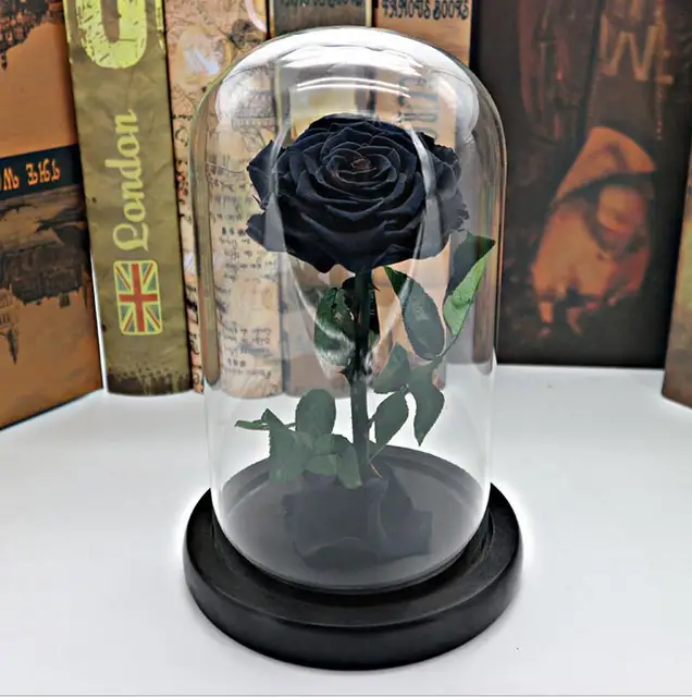 Flor Rosa eterno negra preservada inmortal Rosa fresca en florero de  cristal Cloche decoraciones de boda regalos únicos|Flores artificiales y  secas| - AliExpress