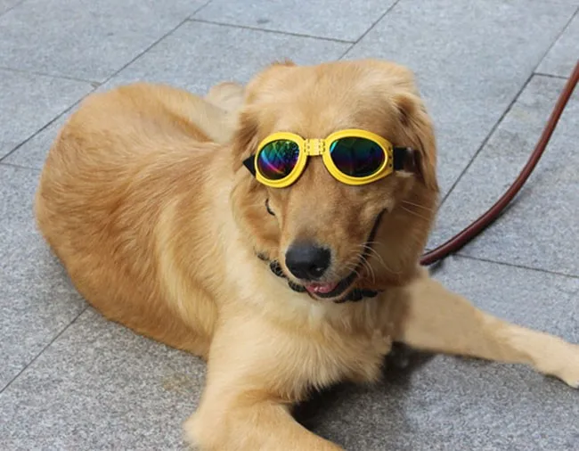 TB2aqDIaFXXXXXHXpXXXXXXXXXX-73155338