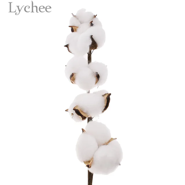 Lychee Natural White Cotton Branch Dried Flower Head DIY Wedding Party Home Decoration