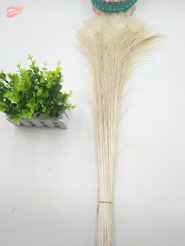 

EMS free shipping 500pcs30-34 inches / 75-85cm high quality natural white peacock feathers, peacock feather centerpieces