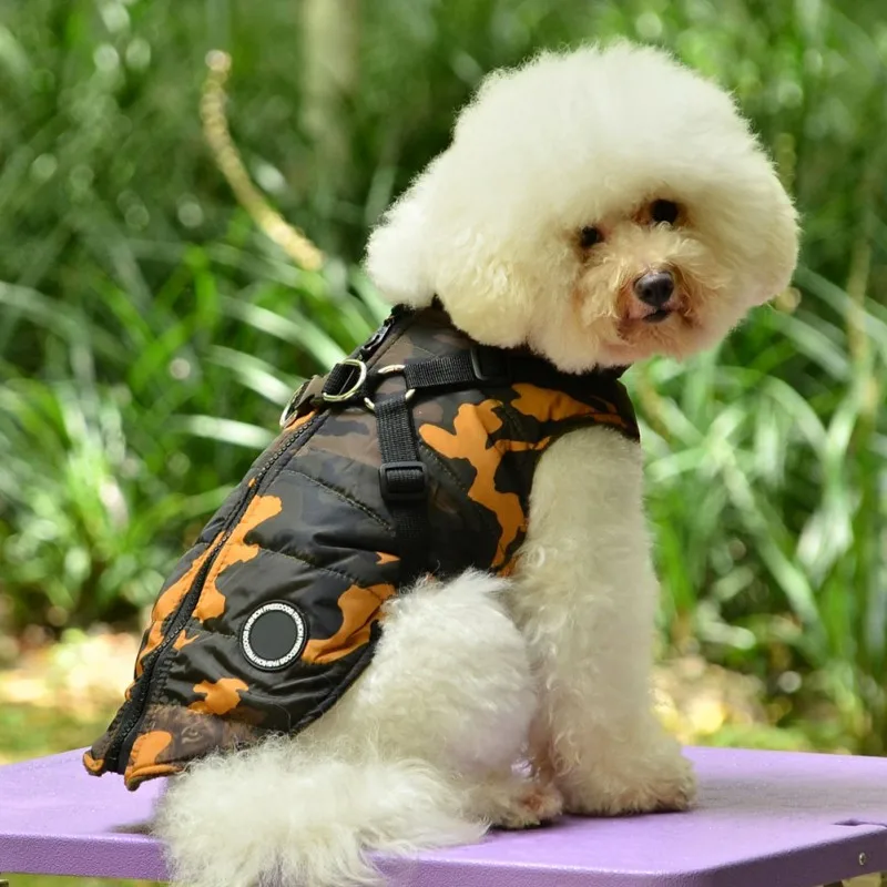 

Winter Warm Pet Dog Vest Funny Puppy Dog Vest with Leash Belt for Small Medium Dogs French Bulldog Chihuahua Cloth