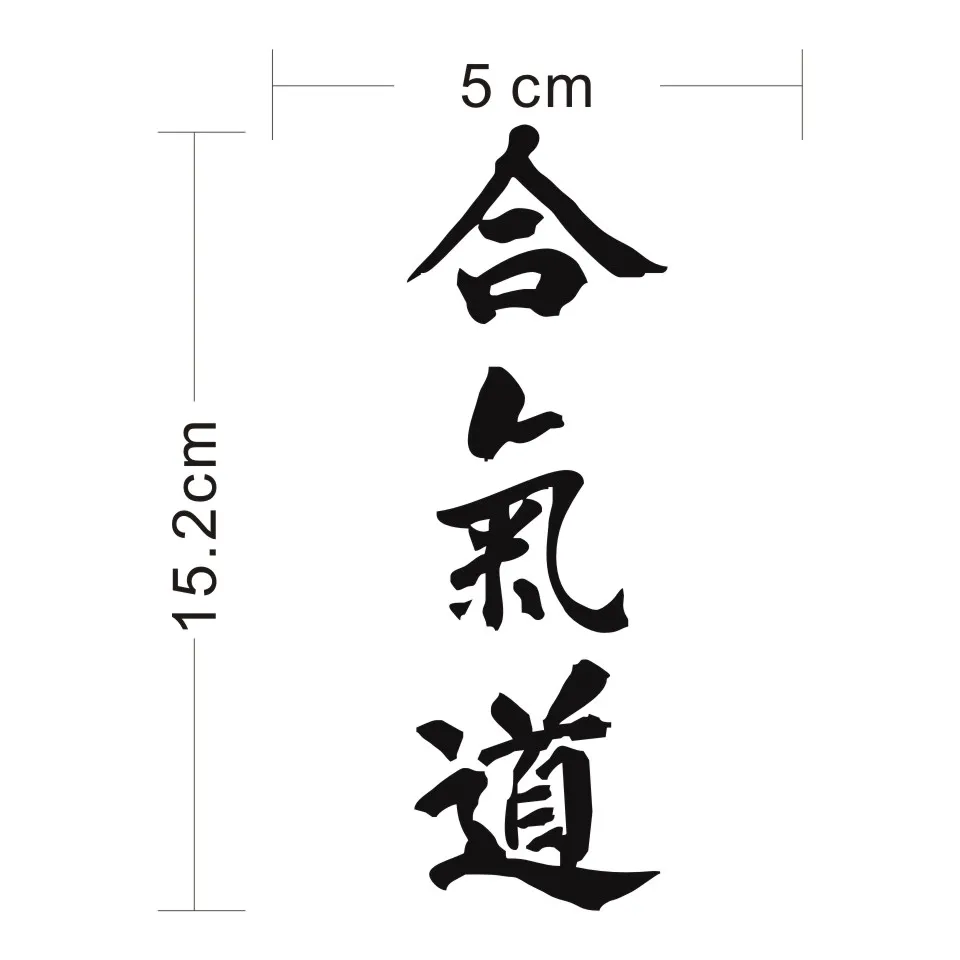 Cunymagos AIKIDO Kanji Love Creative Car Body Decal Chinese Characters Car Styling Car Stickers Motorcycle Auto Sticker 515 (2)