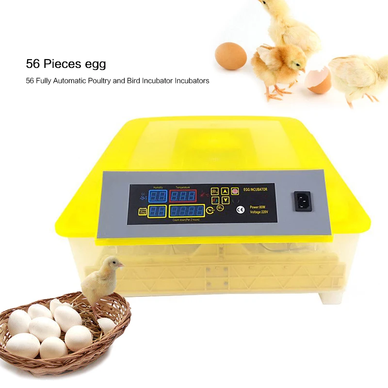 56 Egg Incubator Digital Fully Automatic Mini Egg Hatching Turning Machine