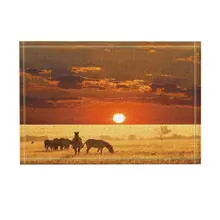 Африканский сафари душ Декор диких животных Зебра на закате коврик для ванной нескользящий коврик пол EntrywaysDoor коврик аксессуары для ванной комнаты