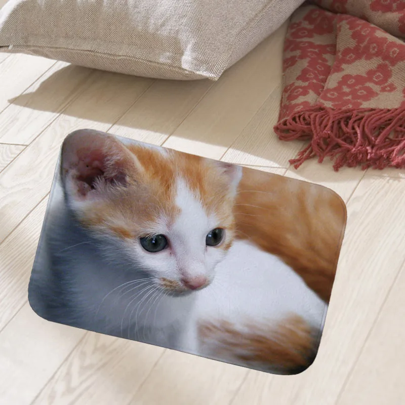 Cute cat printed 40x60cm floor mat hallway doormat suede