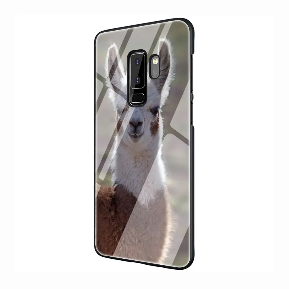 G11 Лама ламы альпаки закаленное Стекло Телефон чехол для Galaxy S7 edge S8 9 10 Plus, Note 8, 9, 10, A10 20 30 40 50 60 70 - Цвет: G11