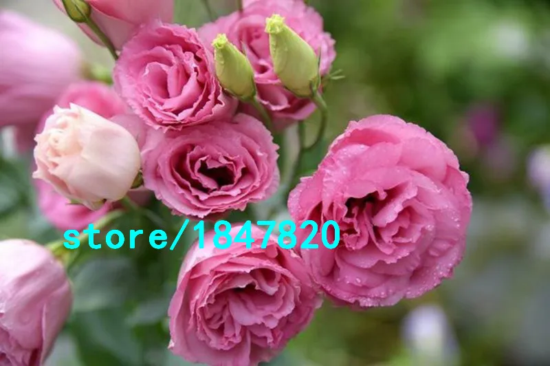 HTB18hL7IFXXXXXFXVXXq6xXFXXXm