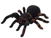 New Arrival Infrared RC Tarantula Realistic Spider with Lighting Remote Control Simulation Scary Toys Electronic Pets Gift 4