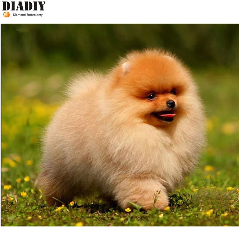 

5D DIY Diamond Embroidery Christmas Gift, Dog, Pomeranian, 3d, Diamond Cross Stitch Full Drill Diamond Mosaic Wall Decoration