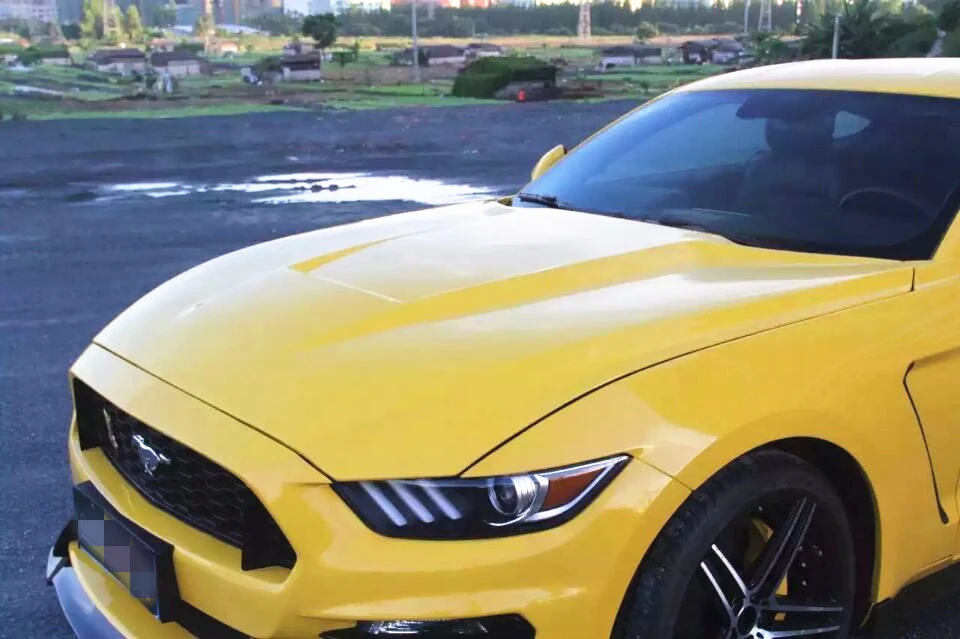 

2015 MUSTANG SHELBY GT350R STYLE HOOD BONNET--CARBON FIBER HOOD BONNET FOR FOR MUSTANG 2.3 T NICE FITMENT!