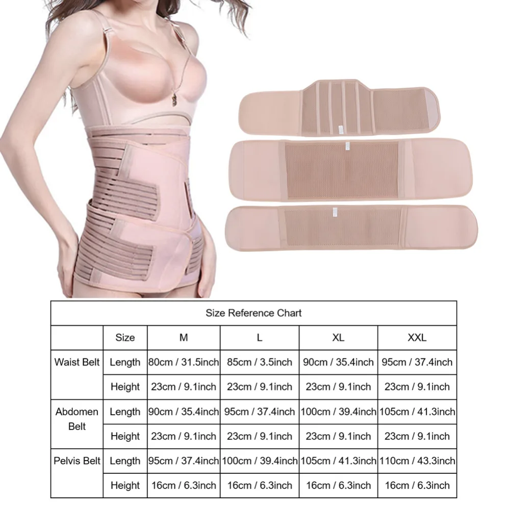 Belly Band Size Chart