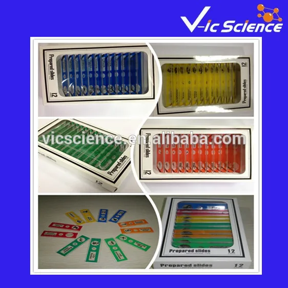 

Prepared Microscope Plastic Slides