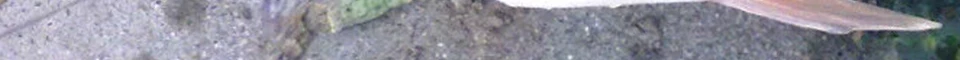 ENG_58