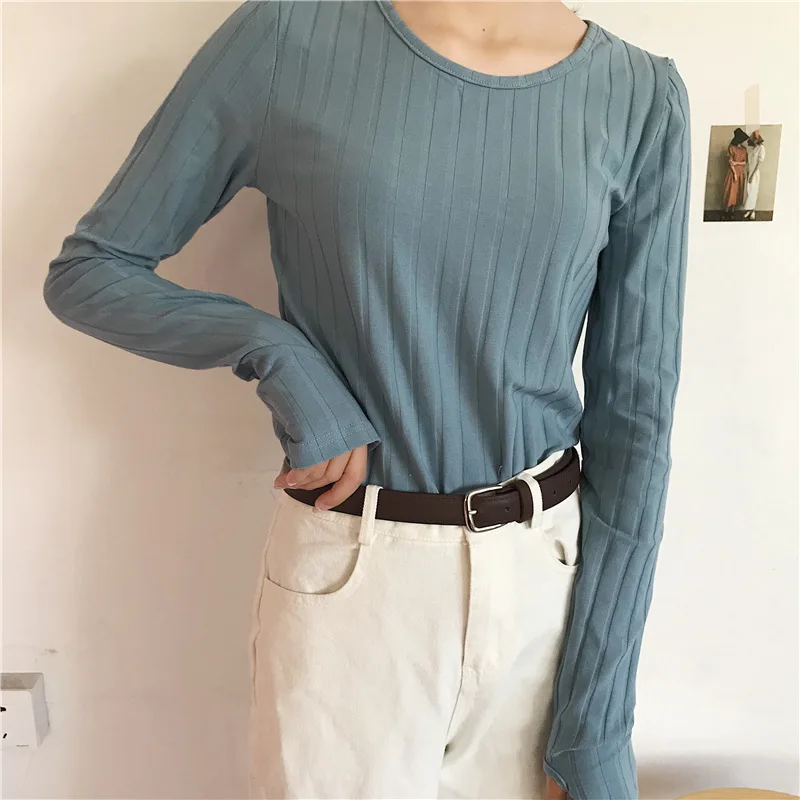 9119059993_278911921