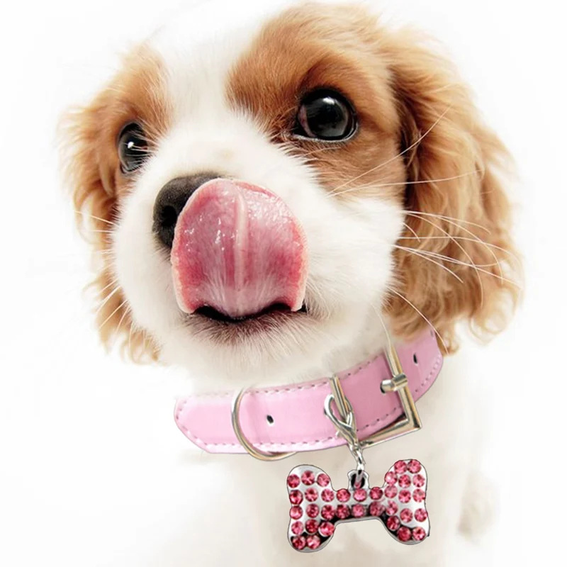 

Rhinestone Dog Tag Crystal Bone Shaped Charms For Dog Collars Lobster Clasp Jewelry Pendant Dog Accessories Pet Products