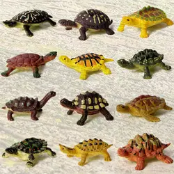 12 шт. черепаха игрушки Реалистичные наборы черепахи, зоо мир реалистичные море океан фигурки животных вечерние сувениры для мальчиков