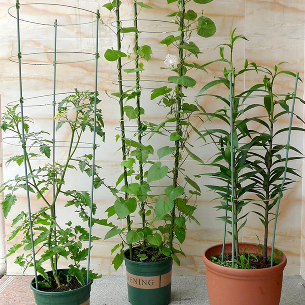 Set 60cm Garden Plant Support Climbing Plants Conical Trellis Supporter