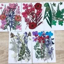Натуральный прессованный высушенный цветок ветви DIY Скрапбукинг искусство ремесла чехол для телефона Альбом украшение карты