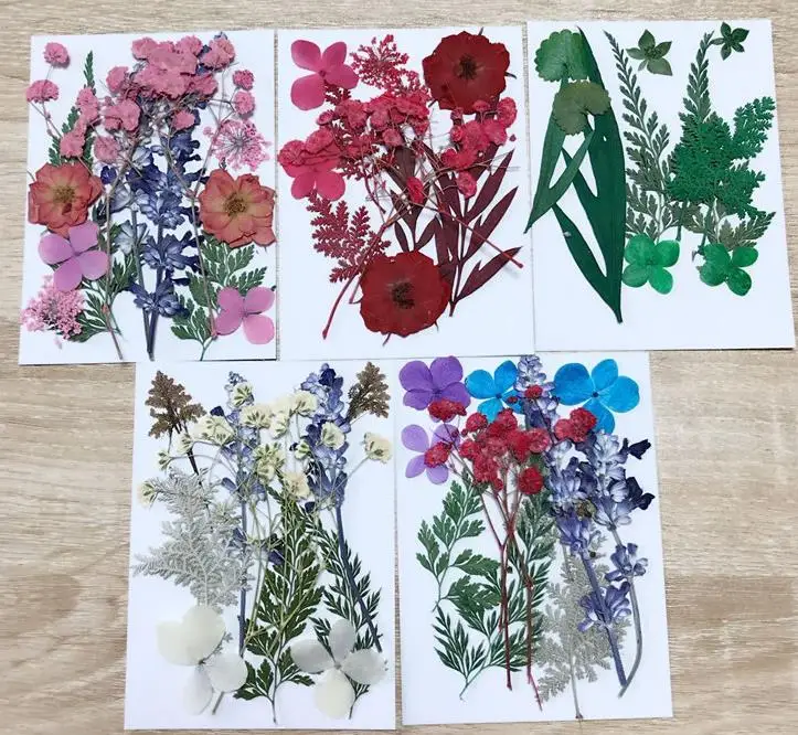 

Natural Pressed Dried Flowers Branches DIY Scrapbooking Arts Crafts Phone Case Album Card Decoration