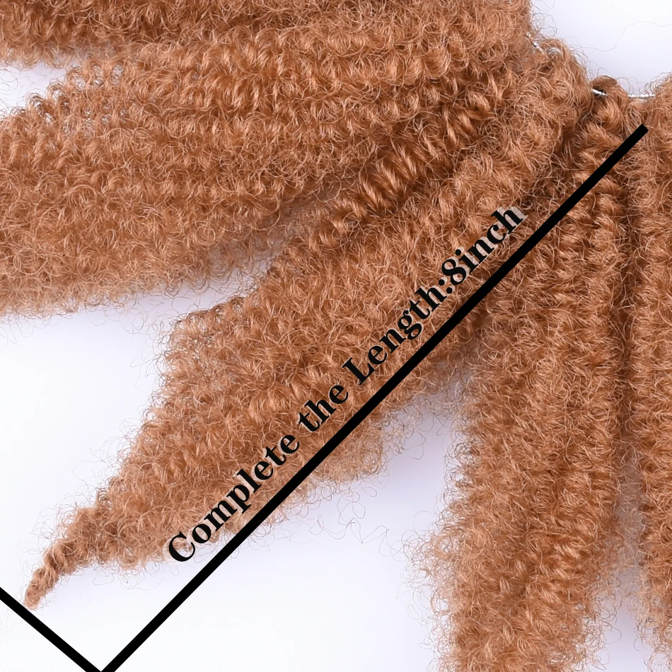 尖尾毛毛虫尺寸