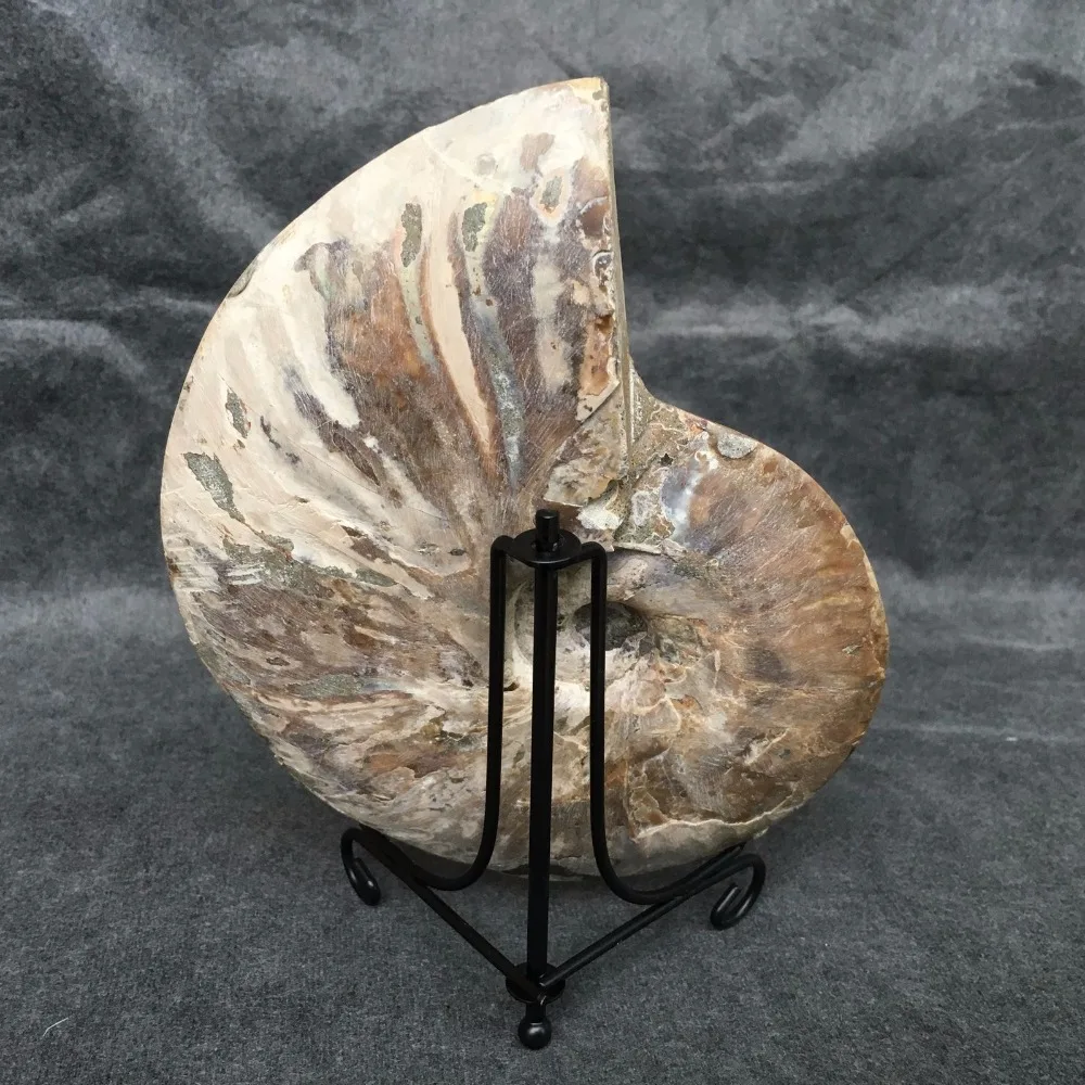 2019_05_08_08_56_IMG_4579 - 