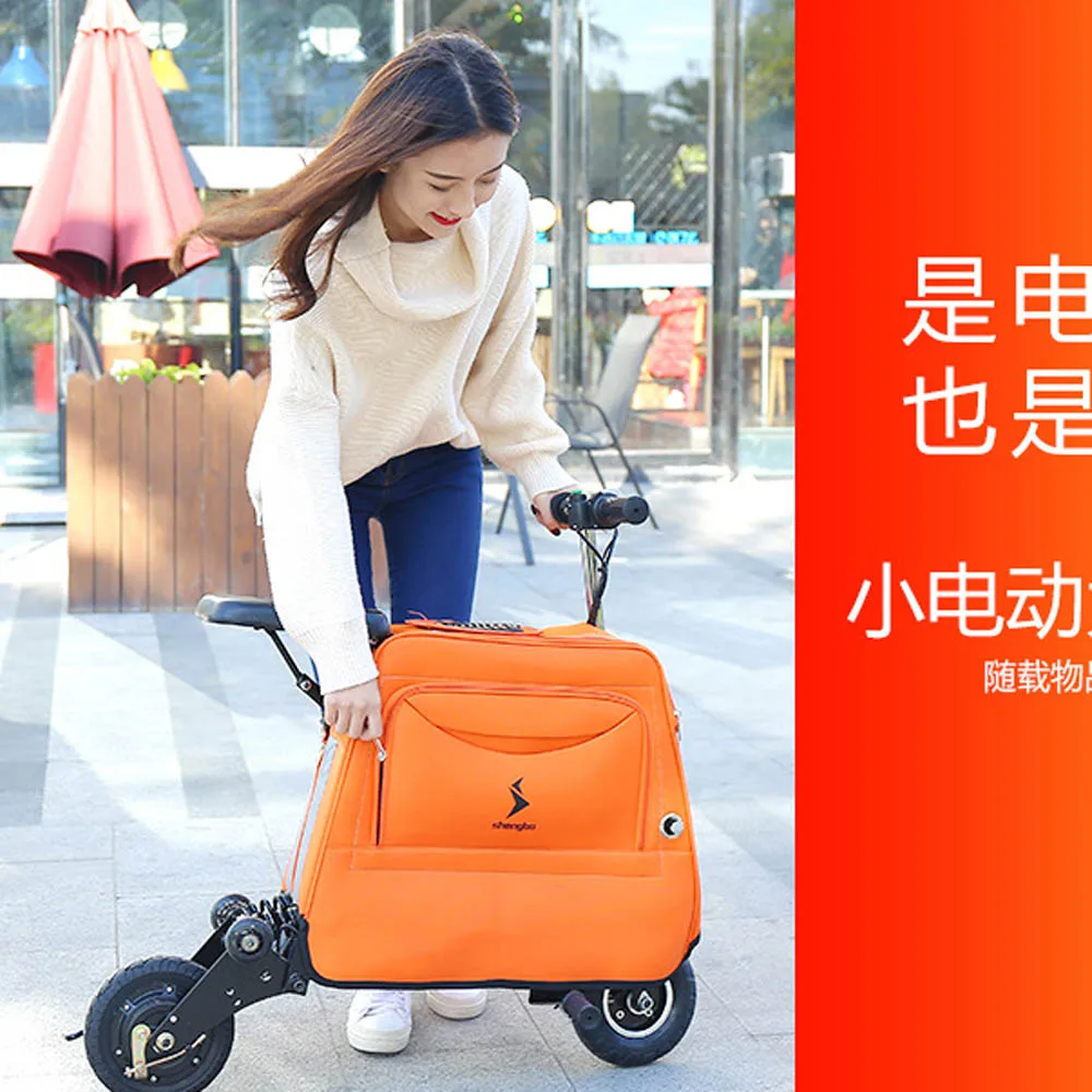 LUGGAGE SCOOTER (6)