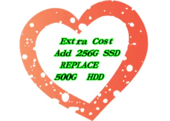 

Extra Cost for Add 256G SSD REPALCE 500G HDD for laptop computer ultrabook
