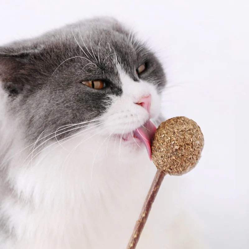 Pet Cat зубы чистящие лечит кошачий леденец игрушки-жвачки с органическим Silvervine Stick для жевания Cat продукция для питомцев