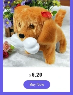 dianxiaobao