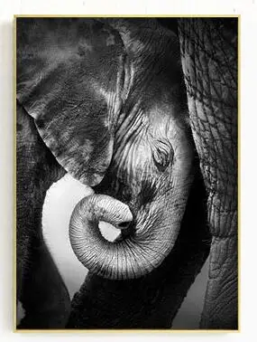 Постеры и принты с изображением слона и животных, настенная живопись на холсте, художественная фотография с изображением животных, настенные картины для гостиной, Dec - Цвет: 01