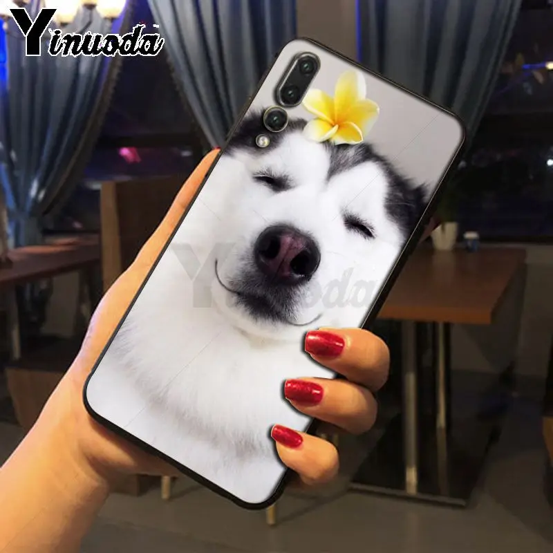 Yinuoda Husky dog черные мягкие Аксессуары для телефонов Чехол Huawei P20pro mate10lite p9 p10plus honor 8x 7A